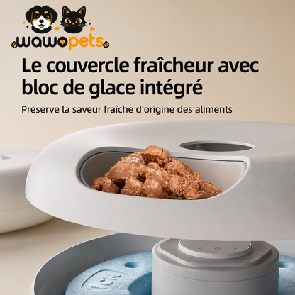 Distributeur intelligent pour animaux