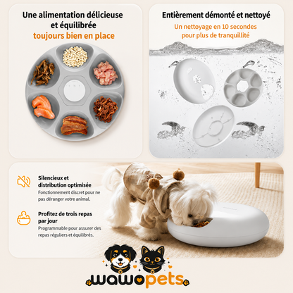 Distributeur intelligent pour animaux