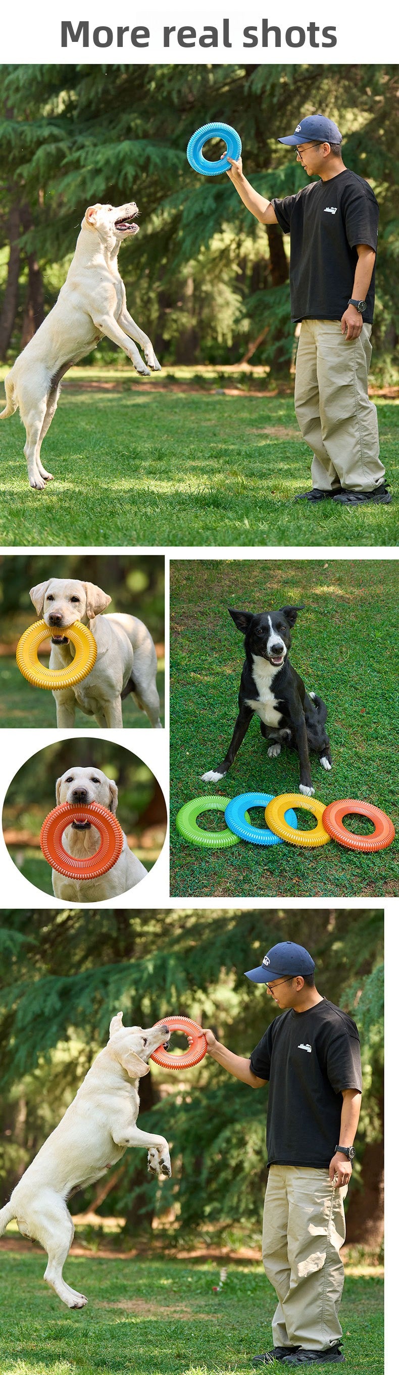 Dog Frisbee Toy