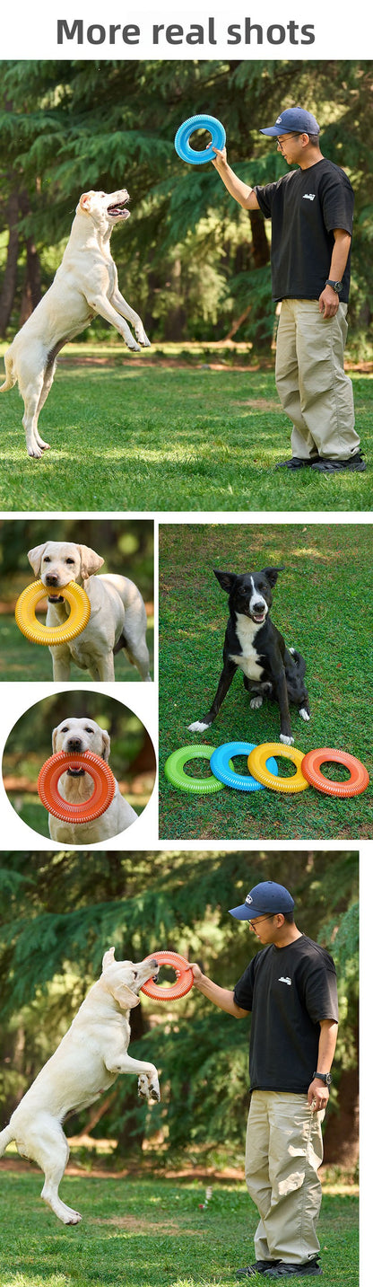 Dog Frisbee Toy